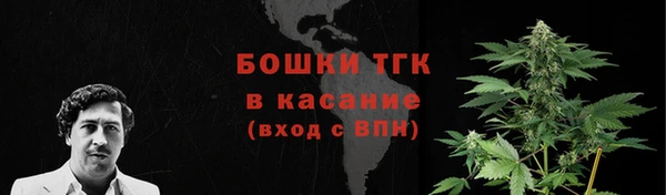дмт Абаза
