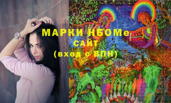 дмт Абаза